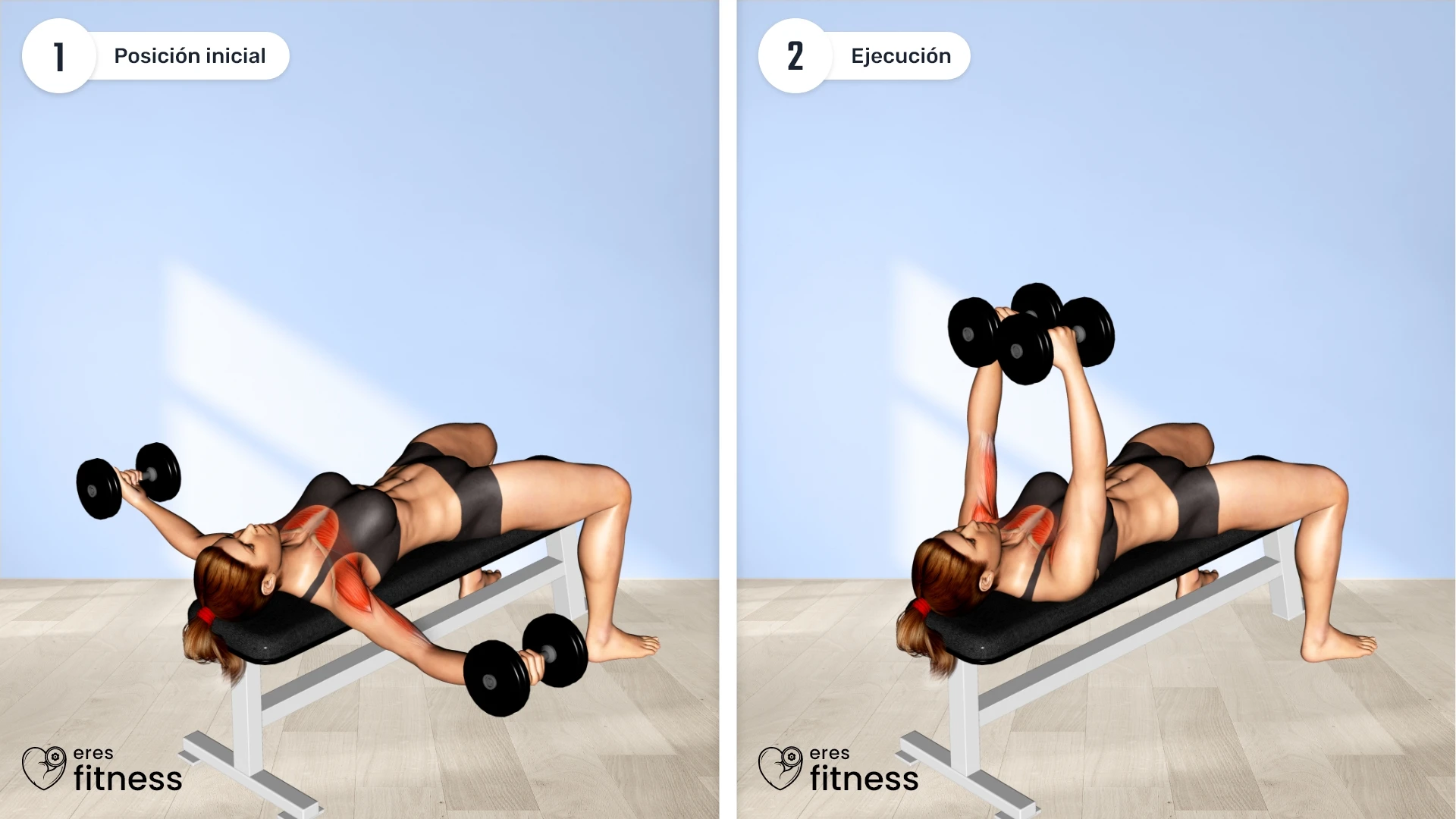 Aperturas con Mancuernas